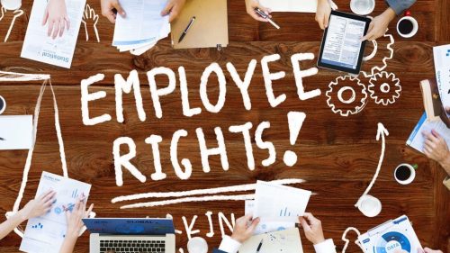 Employment Rights Act 2025: Owner/Director Checklist - SME HR Consultancy